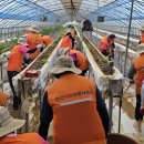 안산시 공직자, 서산시 고향사랑기부제로 1,040만 원 기부했다(태안타임즈) 이미지