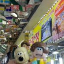 정동진놀자 이미지