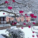 사랑을 위하여(김종환) 그 겨울의 찻집(조용필) 혼자남은밤(김광석)커버연주한명수 이미지