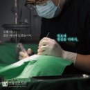 서울리온치과의원 이미지