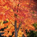 덕산면053 이미지