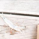 서신레저바다낚시터 이미지