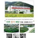 한국클로렐라 이미지