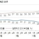 [갤럽] 한일군사협정 '반대' 59%, 3주째 박근혜 지지율 5% 이미지