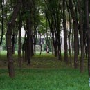 푸름공원 이미지