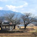 장동면 행정복지센터 이미지