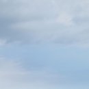 연화주유소 | 부산 기장 용궁사 맛집 연화리 생선구이 내돈내먹