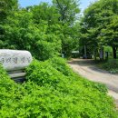 남태령옛길 이미지