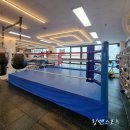 링맨복싱 이미지