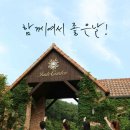캘리가든 이미지