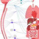 수승화강한의원 이미지