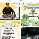 스타 반려견 교육센터 이미지