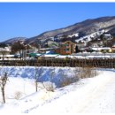 황태덕장 이미지