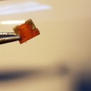 스피드메이트 성산대교점 이미지