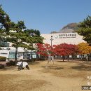 목포요술램프게스트하우스
