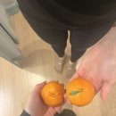 모임필라테스