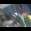 문라이브 Daum카페