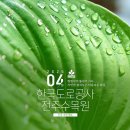 서전주 졸음쉼터 | [전북 전주] 형형색색 튤립이 가득, 자연이 펼쳐놓은 아름다운 화폭, 한국도로공사 전주수목원