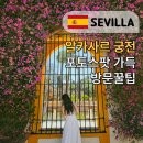 궁전목욕탕 | 세비야 알카사르 궁전 방문 꿀팁. 입장 방법부터 후기까지
