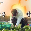 김선호농장 이미지