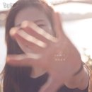 팬시 이미지
