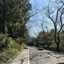 365플러스오정세종점 | 창원진해 블랙야크명산100플러스 장복산 최단코스 등산후기 및 주차정보