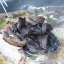 엄마집식당 이미지