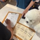 펫타리움 청담점 이미지