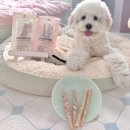 우피네 | 강아지 우피껌 추천 펫포커스 한우 우피껌 솔직 후기