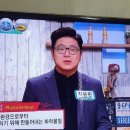 씨니드 네이버블로그