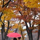 우산공원길 이미지