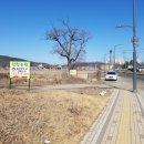 선심농원