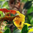 부천자연생태박물관 이미지