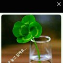 도농로24 이미지