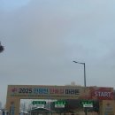 안양천 | 2025 안양천 단풍길 마라톤 후기 - 인생 첫 10Km 완주🏅