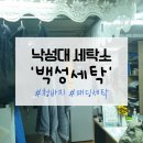 백성세탁 이미지