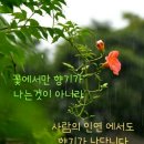 3948 이미지