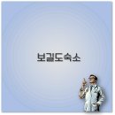 완도 예송리 상록수림 | 보길도 숙소 추천과 소수서원 주변 펜션 완도 숙박 깔끔 정리