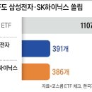 쏠림 조선일보
