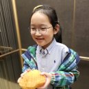 초이하우스 이미지