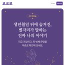MVP 개발 클로드 AI로 4주 만에 가능했던 진짜 이유