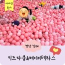 다은동물병원 | [경남 김해 장유] 아이랑 갈만한 곳 / 키즈카페 / 베이비카페 / 키즈다쿵&amp;베이비테라스