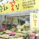 은하꽃집 이미지