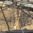 서울김내과의원 이미지