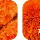 헬스비젼 이미지