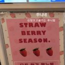 와플대학논산캠퍼스 네이버블로그