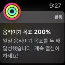 황금상회 이미지
