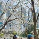 (주)대동공영 - 옥천군 | (주)대동공영