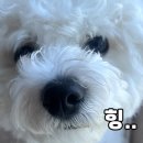 연아른 성장의원 | 성남 신생아 설소대 시술 병원 '구름별 소아과' 설소대 시술 후기 (2026.1)