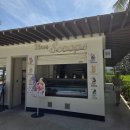리조트 알마가든 조식/프라이빗 비치, 수영장 풀바, 스플래쉬 워터파크/유스클럽/배달케이(템느아, PT과일)